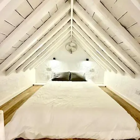 شقة Kite Loft تريفة